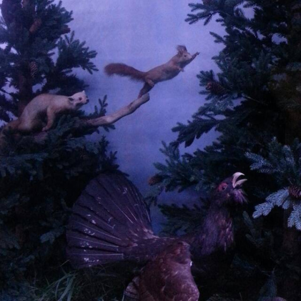 File:+31 6 19098367 20171221 142625.jpg